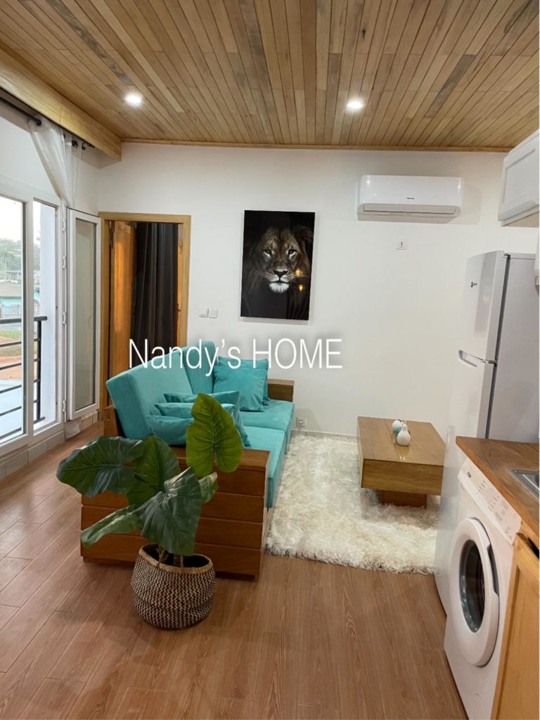 appartements meublés Yaoundé-Séjour appartement Turquoise