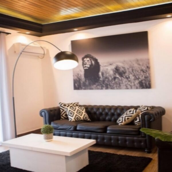 Hébergements meublés standard saphir-Salon